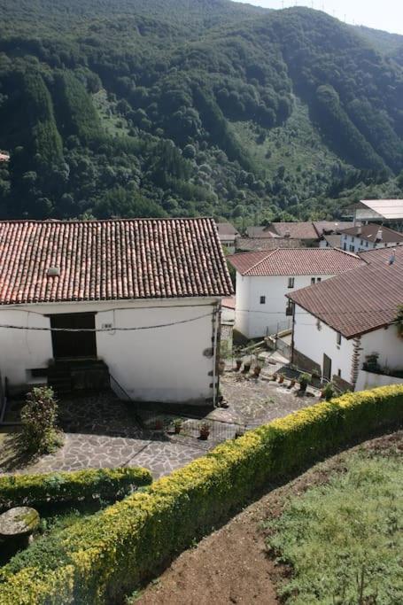 Gartzinea, Amplia Y Preciosa Vivienda Rural Apartment Ezkurra Luaran gambar