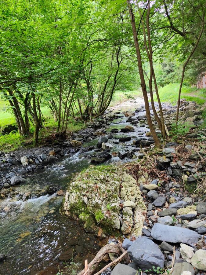 Gartzinea, Amplia Y Preciosa Vivienda Rural Apartment Ezkurra Luaran gambar
